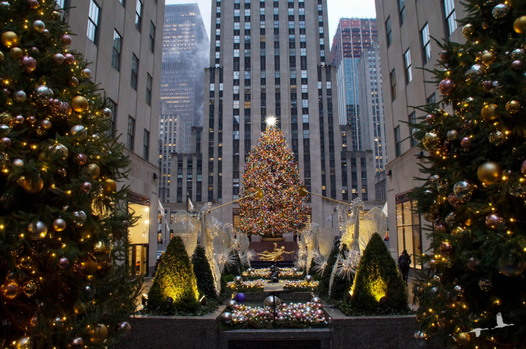 Rockefeller Christmas Tree New York