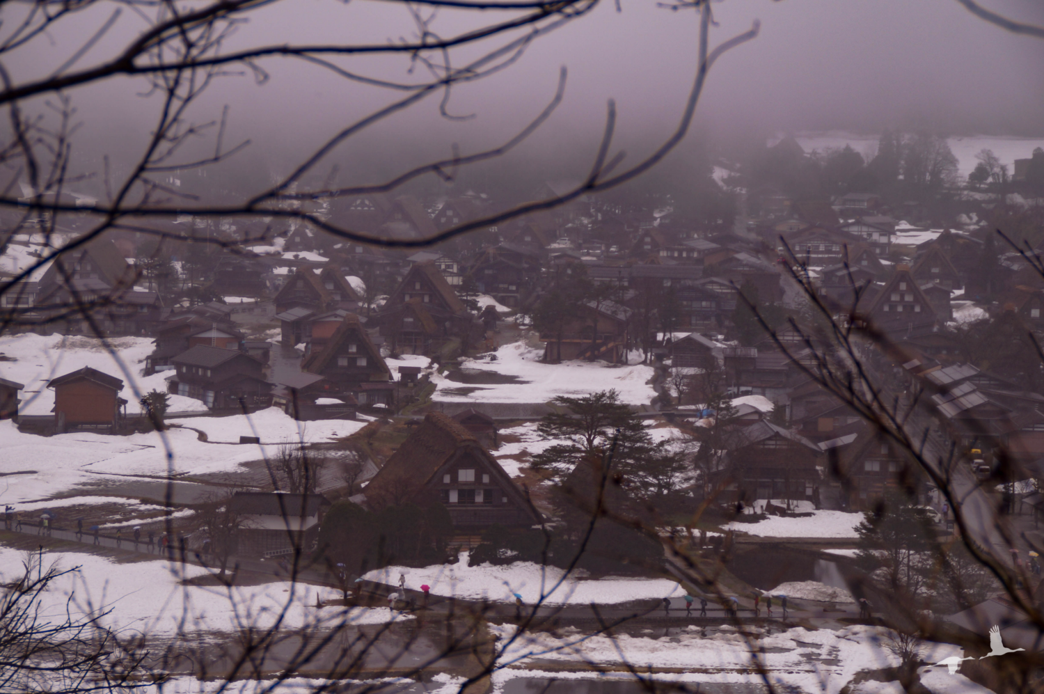 Read more about the article Guide to Shirakawa-go