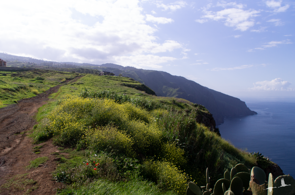 Ponta da Pargo - guide to Madeira
