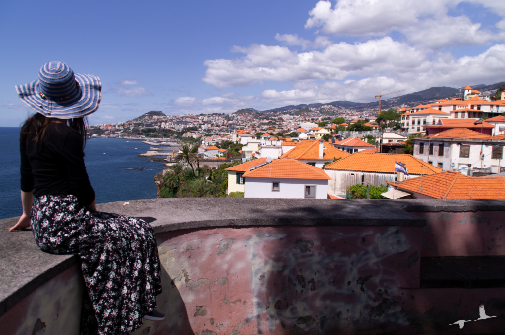 Best view over Funchal, Madeira