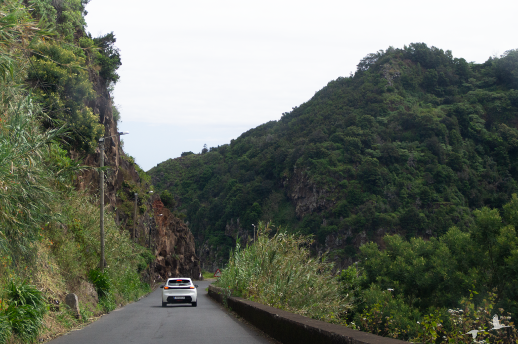 scenic route Madeira
