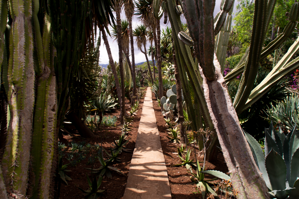 Botanical Gardens Funchal