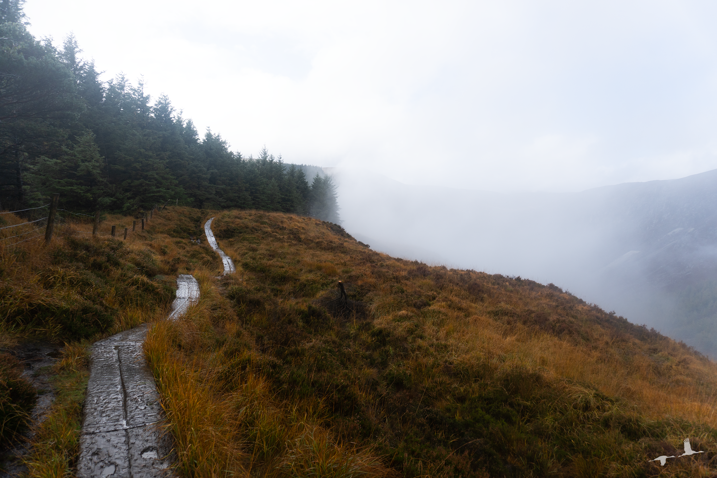 Read more about the article Hiking in the Wicklow Mountains