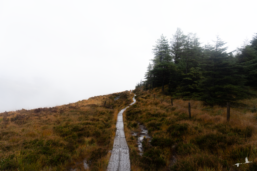Wicklow Mountains Spinc Hike, Ireland