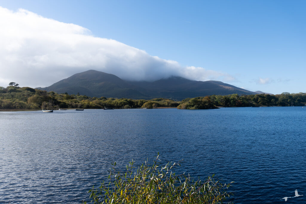 Lough Leane, Killarney, Ireland