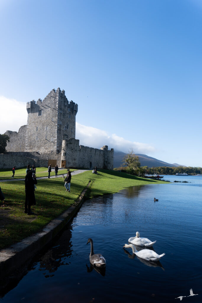 Ross Castle, Killarney, Ireland