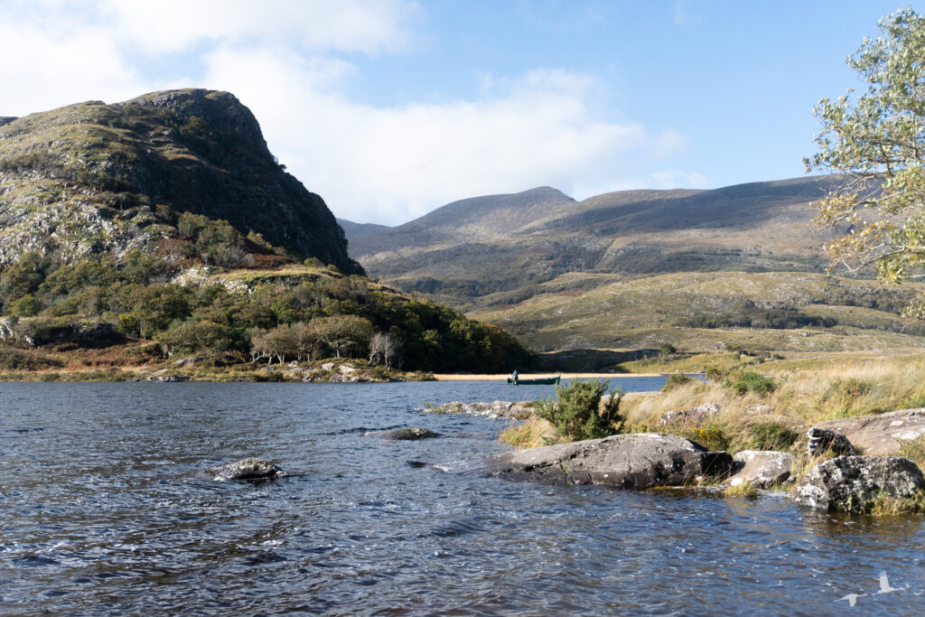 Killarney National Park, Ireland