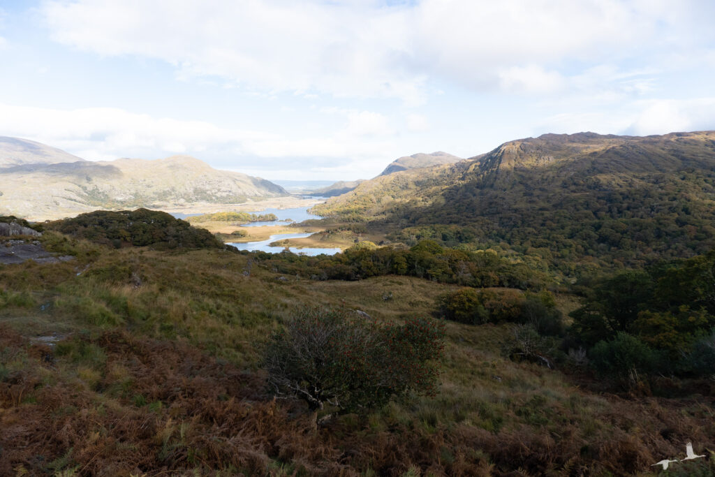 Ladies' View, Killarney National Park, Ireland