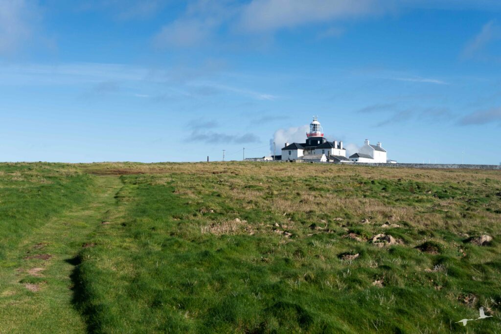 Loophead Lighthouse, Ireland