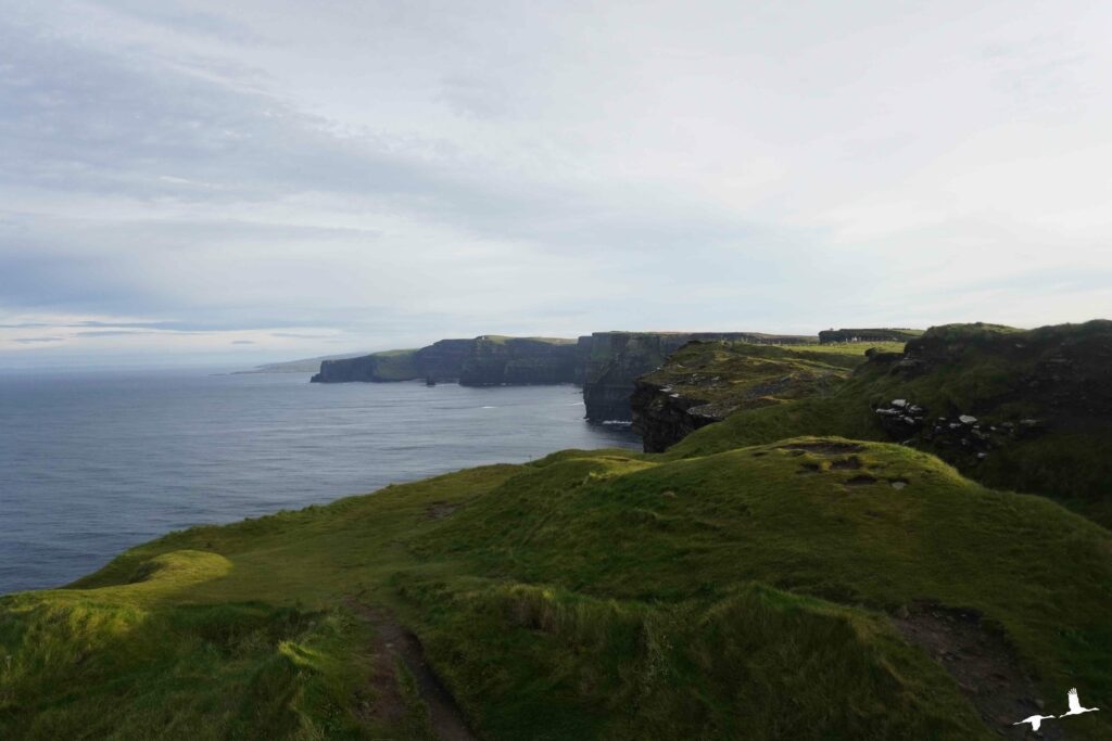 Cliffs of Moher from Hag's Head