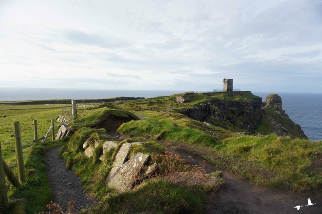 Moher Tower, Cliffs of Moher, Ireland