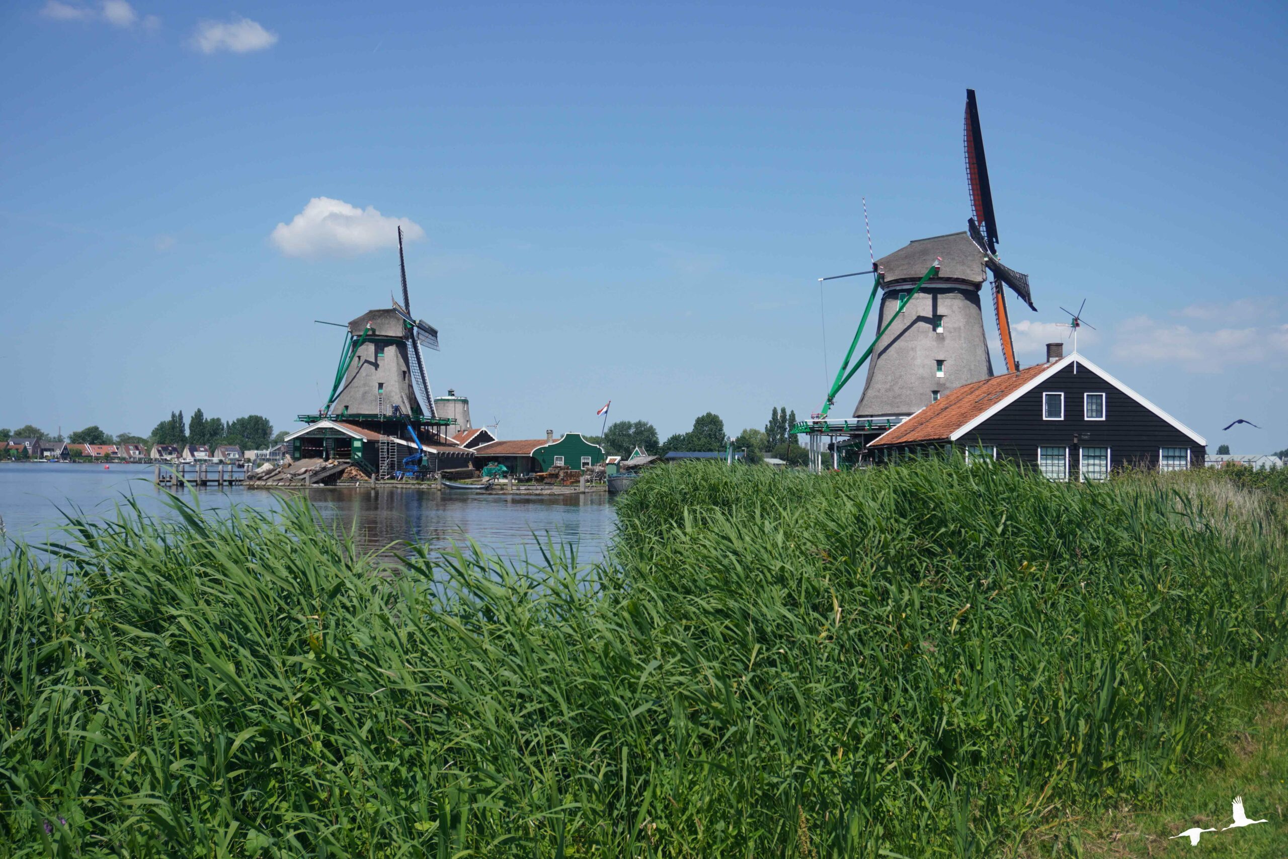 Read more about the article De Zaanse Schans – How to plan a Daytrip from Amsterdam