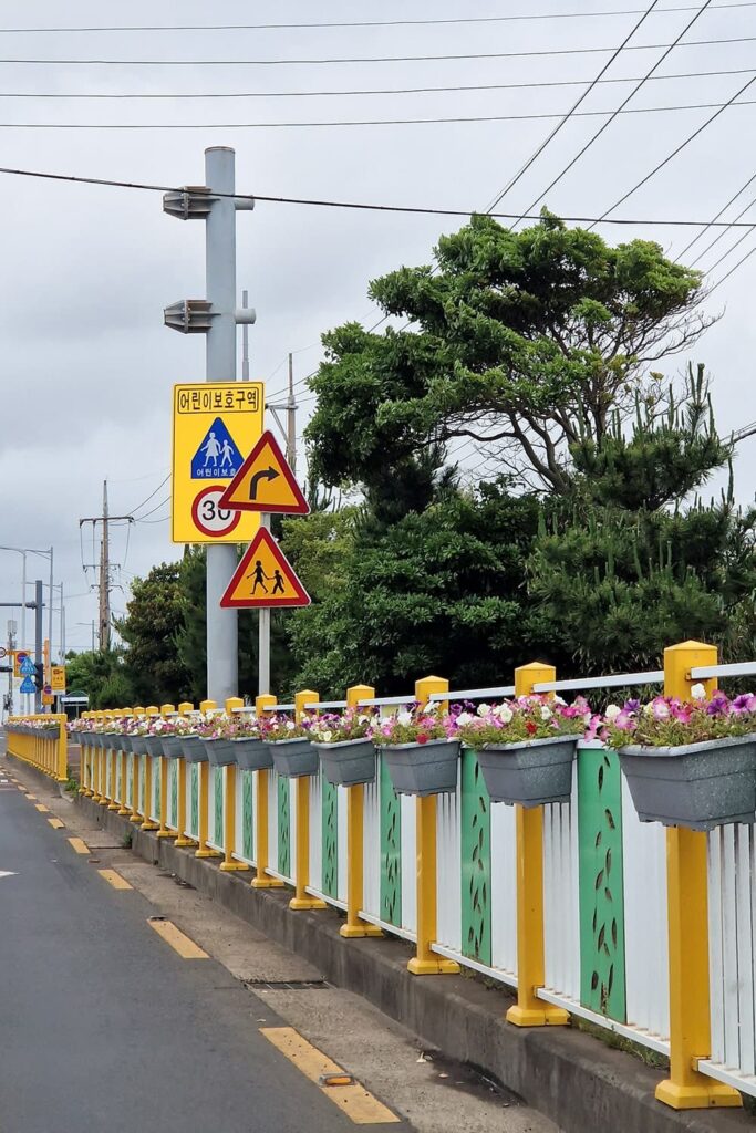 child protection zone on jeju island