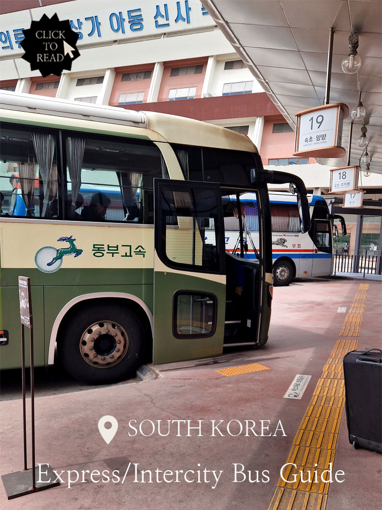 Best way to travel in South Korea: South Korea’s Bus System