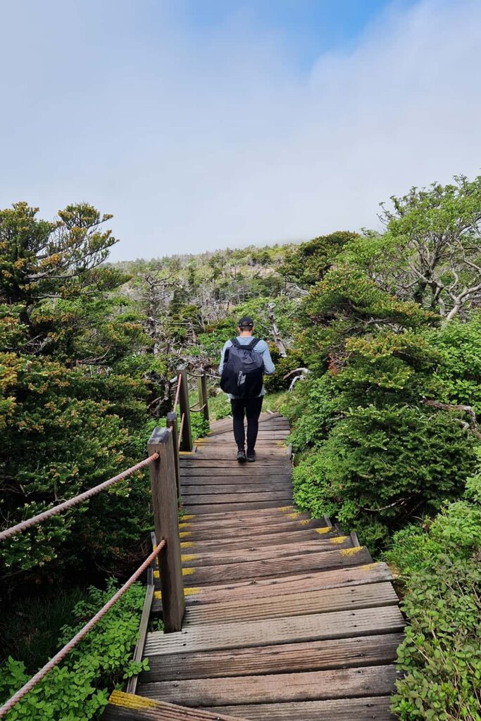 man from behind descending wooden stairs on Gwaneumsa trail