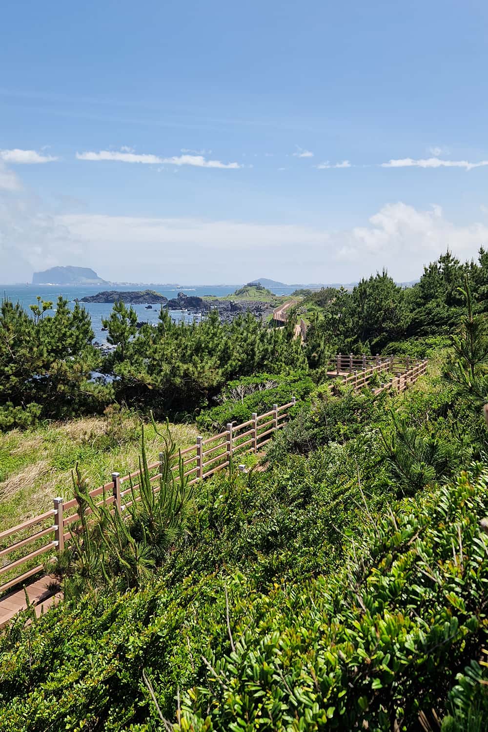 view of coastal walk with seongsan ilchulbong in the background