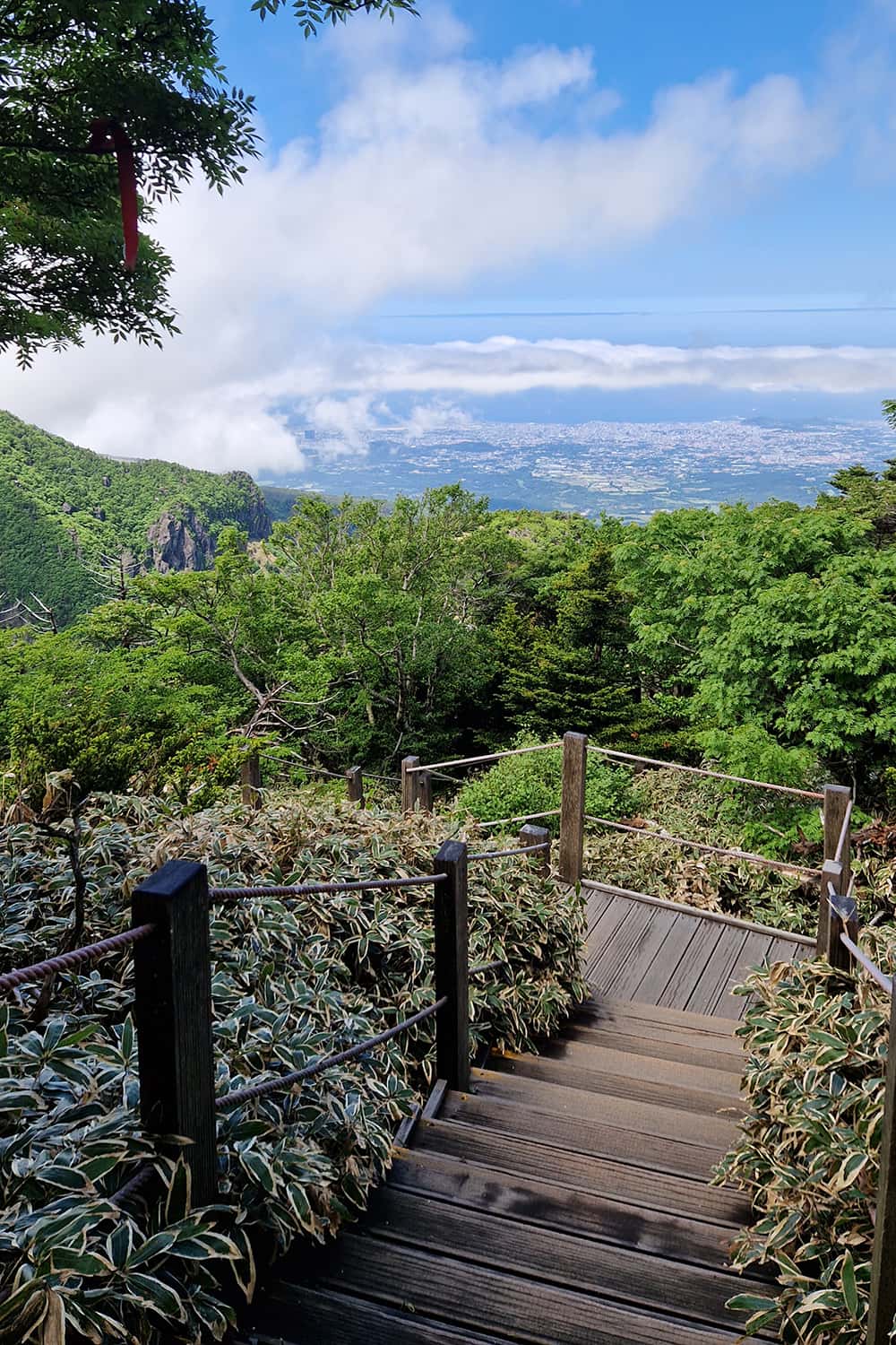 wooden staircase on Mt. Hallasan with views down to the coast of Jeju island in the background