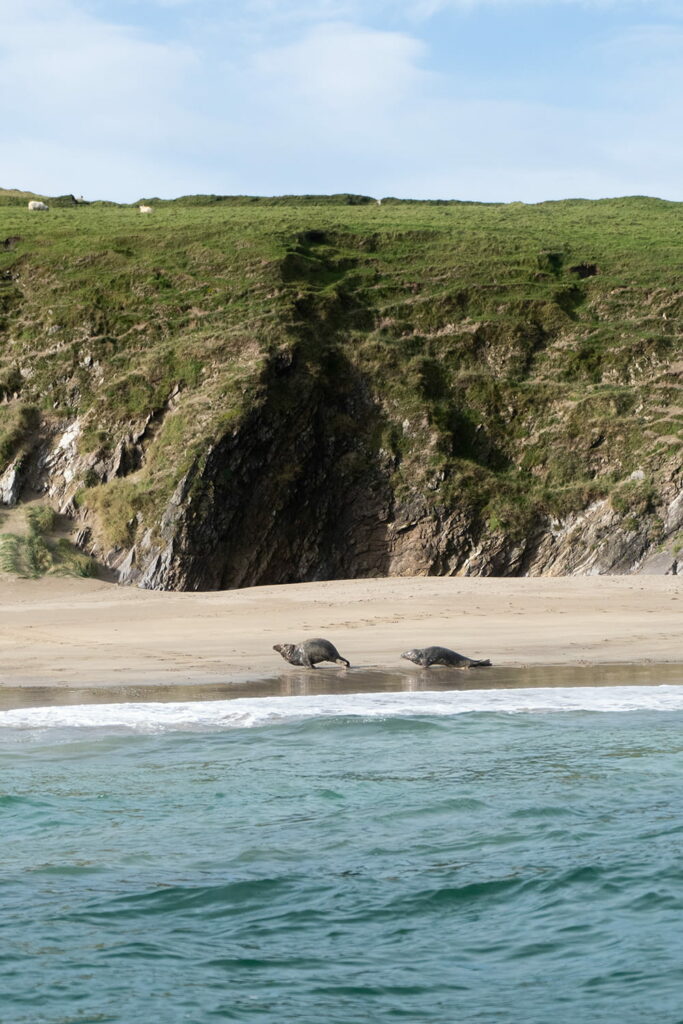 dingle peninsula road trip