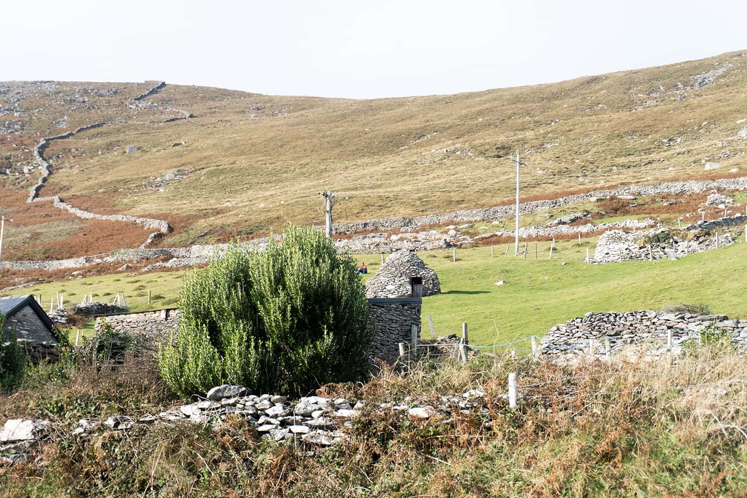 dingle peninsula road trip