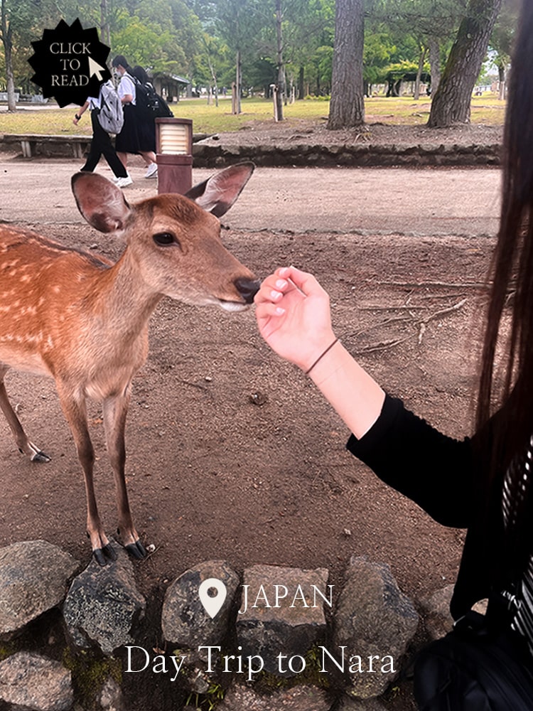 Title Image of Post on Nara Deer Park