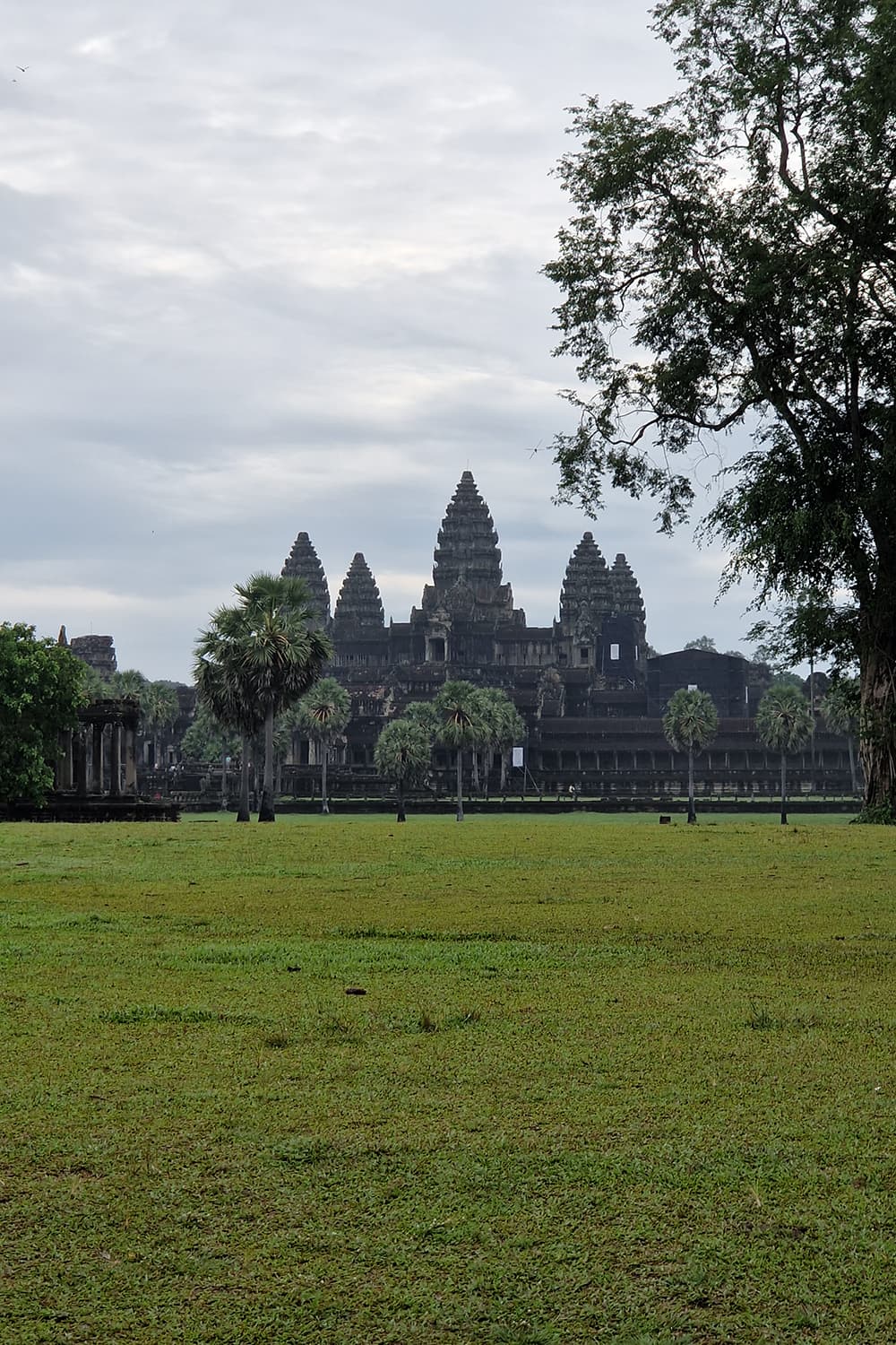 The front of the main Angkor Wat temple surrounded by greenery and forest.