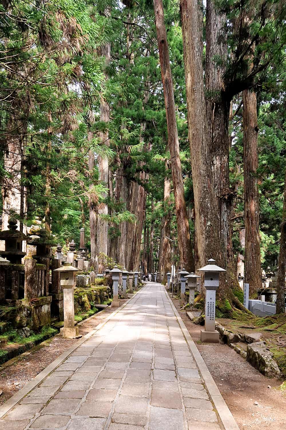 Walkway through a japanese cemetery in a forest.