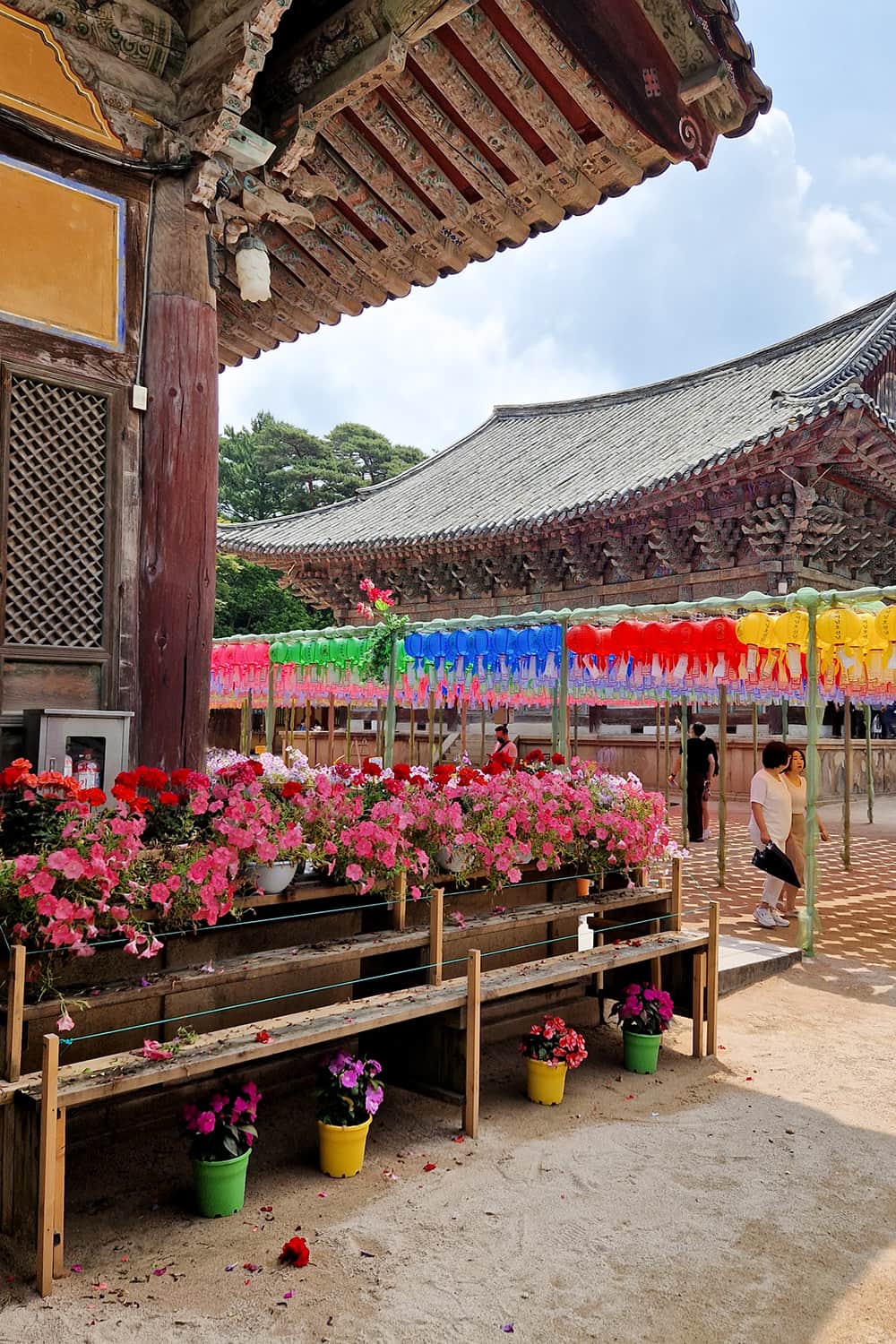 Korean temple decorated with red flowers and different coulored lanterns.