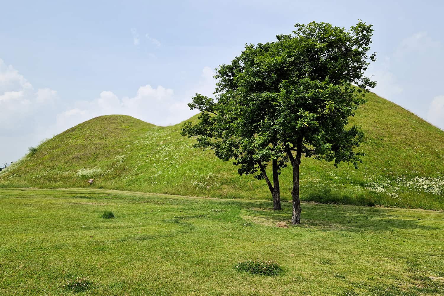 A big grass hill that is actually a tomb.