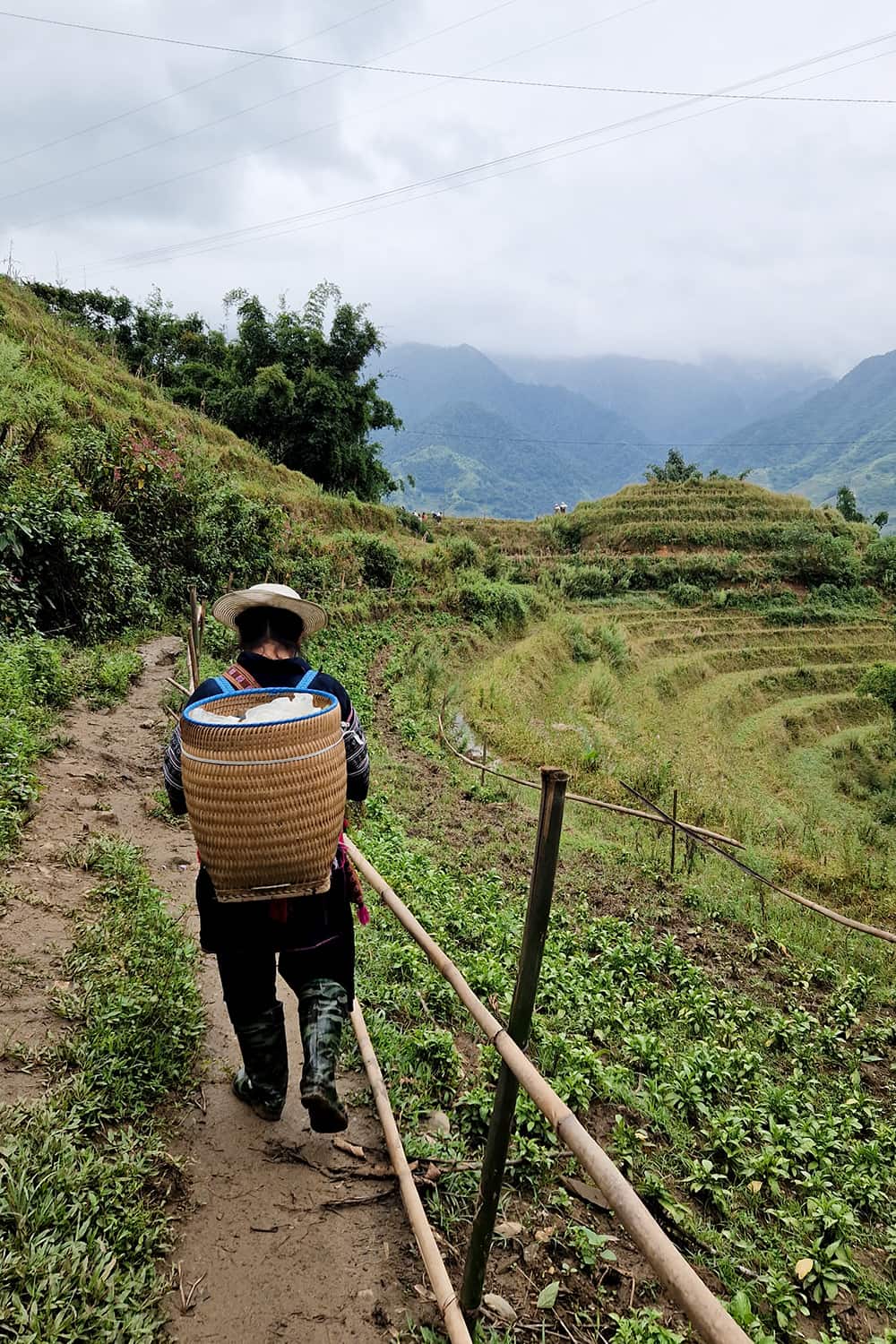 Guide leading the way through the rice fields in Sapa with mountains surrounding the area.