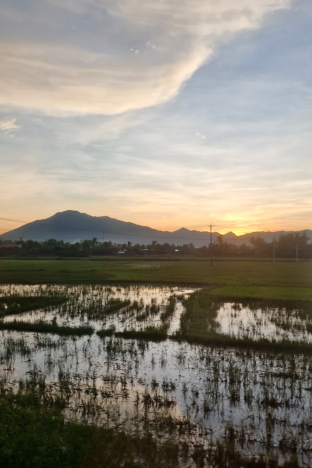 Rice field view during the sunrise from the window of a sleepertrain
