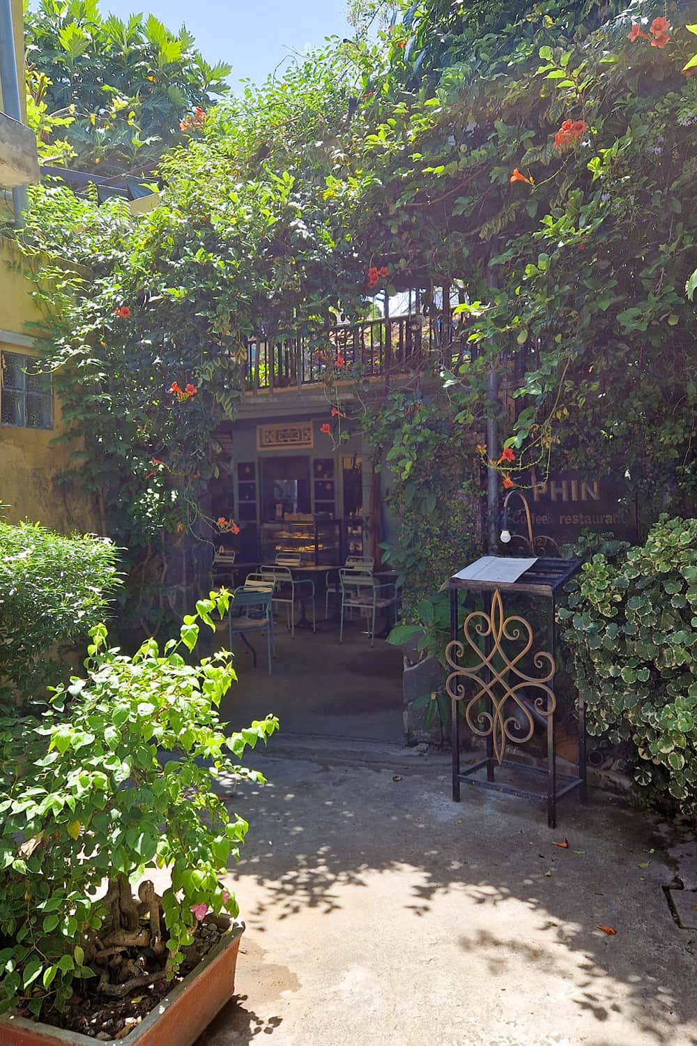 A hidden plant overgrown entrance to phin coffee restaurant in Hoi An.