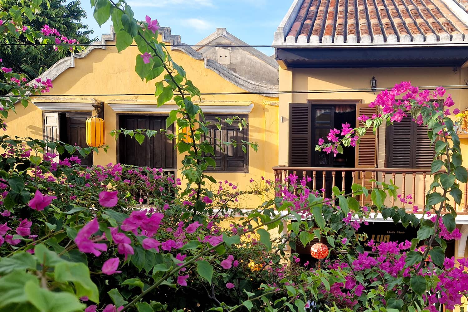 One of the many traditional yellow buildings in Hoi An with a balcony and a lot of plants surrounding it.