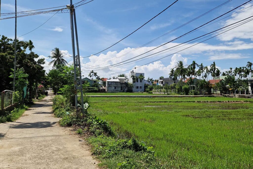 The surrounding area of Hoi An, with all its beautiful rice fields and narrow paths going through the rice fields.